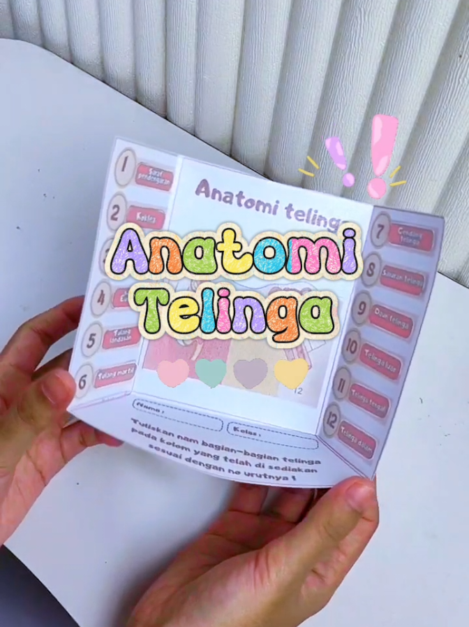 anatomi telinga dan mata #lagupembelajaran #mediapembelajaran #sinonimantonim #anatomitelinga 