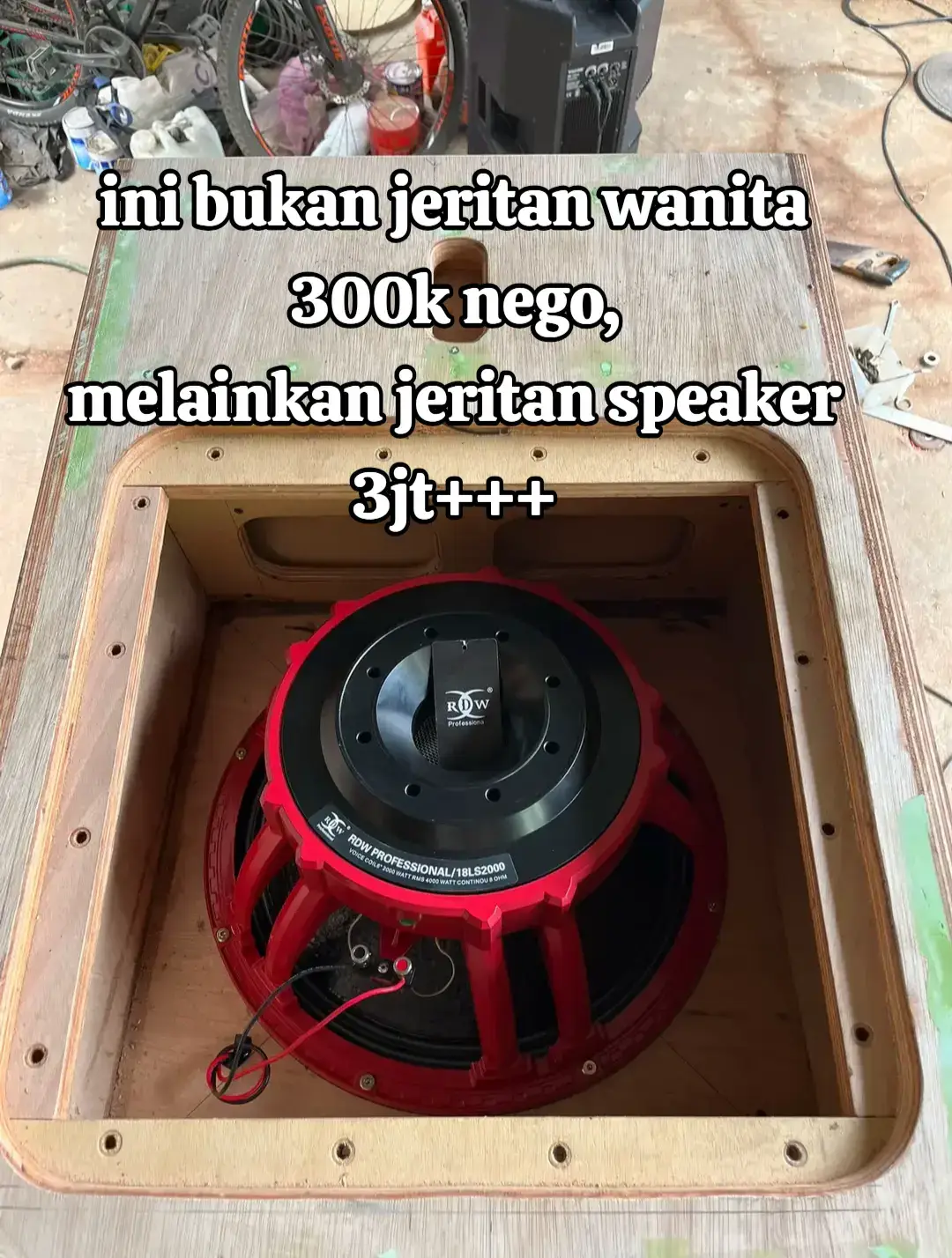 jeritan yg pali meyenagkan🫠 #sondsistemindonesia #blora #jawatenggah #sorotansemuaorang #fypシ゚ 