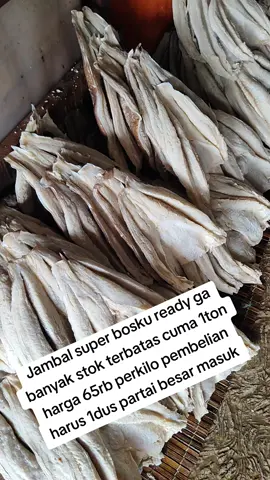 #ikanasin #ikannusantara #ikanasinmurah #ikan #ikanlaut 