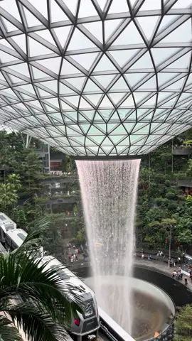 is this even real? #singapore #airport #Summer #travel #singaporeairport 