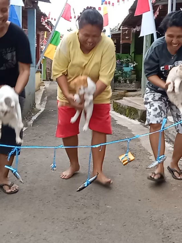 ikut memeriahkan hari Kemerdekaan Republik Indonesia ke 80  #cat #kucinglucu #lombaagustusan #catsoftiktok #fyppppppppppppppppppppppp 