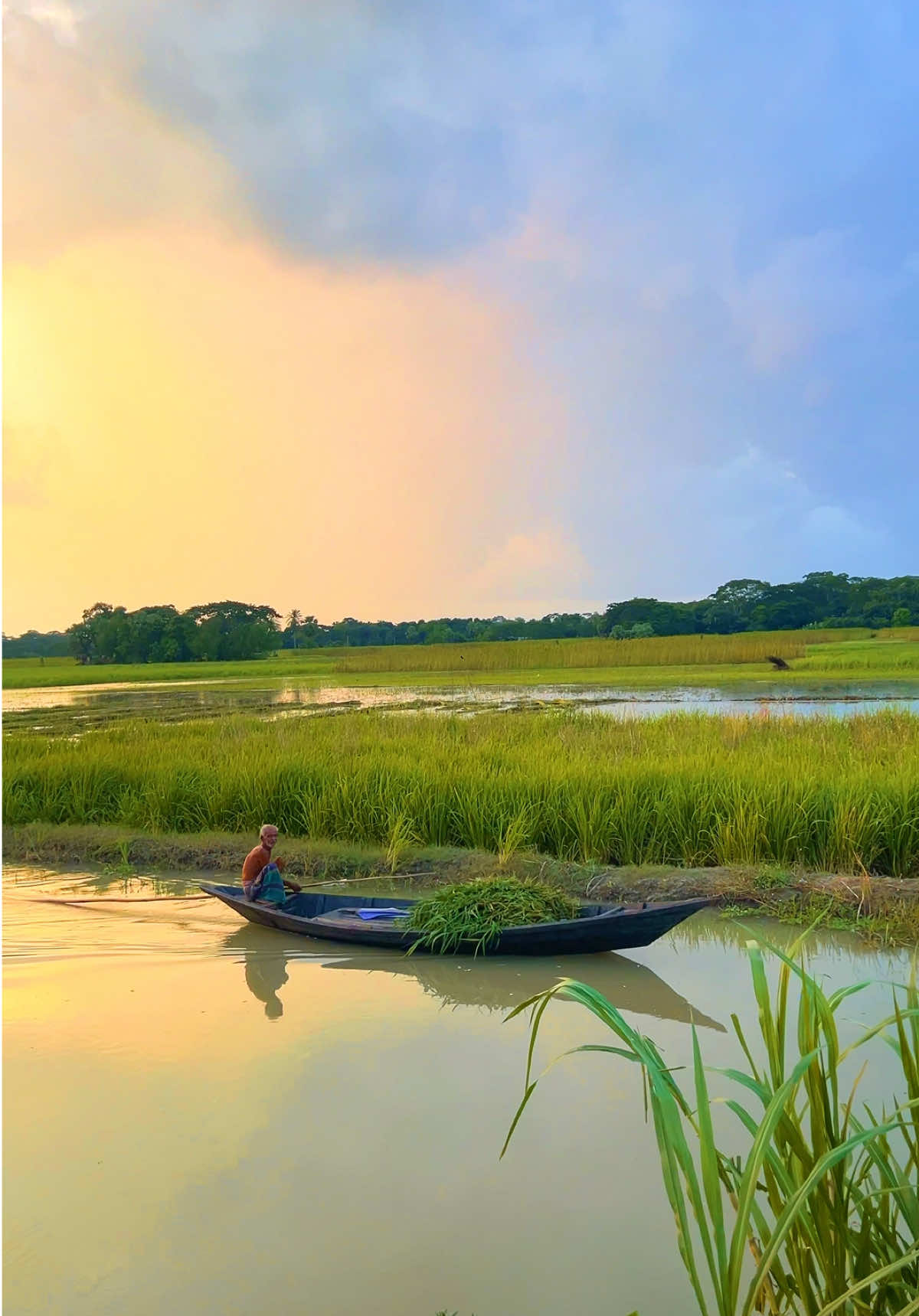 এ যেনো রবীন্দ্রনাথের 