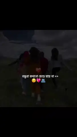 #creatorsearchinsights #tiktok #foryou #typpppppppppppppppppppppppppppp #typpppppppppppppppppppppppppppp 