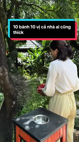 Combo 10 bánh 10 vị bánh trung thu truyền thống #banhtrungthutruyenthong #banhtrungthu 