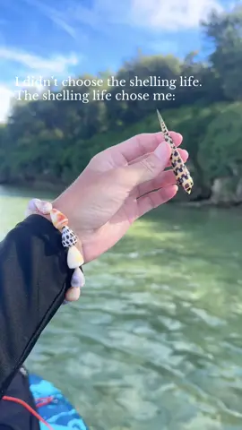 It really did though, when I moved to Japan, I had no idea what I was getting into #shell #shelling #seashells #beach #islandlife 