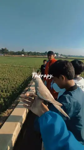 melepas penat dengan cara melepaskan burung😁Kapan ff bareng lagi nih🤣 #freefly #freeflyingparrot #4u #fyp #foryoupage 