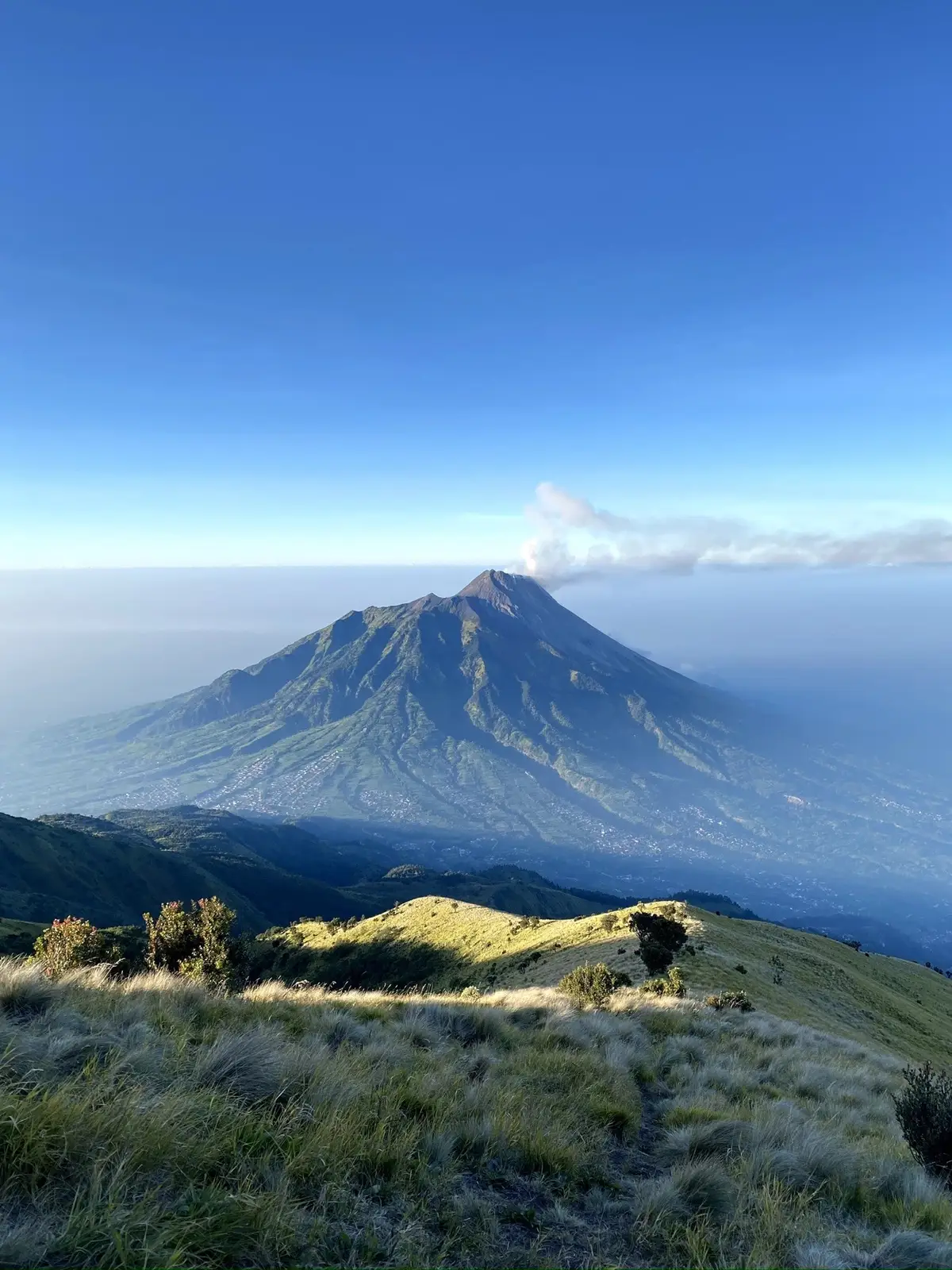 #merbabu #viasuwanting #fyp #foryou #pendakigunung 