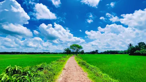 তোমারে সবাই পাইলো পাইলাম না শুধু আমি #viral #fyp #natural #foryoupage 