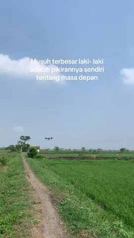 Ngupoyo🌾 #petanimuda #petanimilenial #petaniindonesia🇮🇩🇮🇩🇮🇩🌿🌿 #dronepertanian #xag 