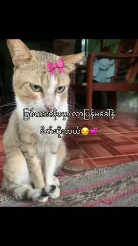 စိတ်ဆိုးတယ် ဟွန့်😒#fypシ゚ #typppppppppppppppppppシ #foryou #ရောက်ချင်တဲ့နေရာရောက်👌 #စာတို☯ 