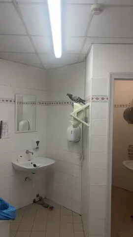 #pigeon #funny #cool 