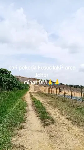 cari pekerja  #lampungprde #tiktok #story 