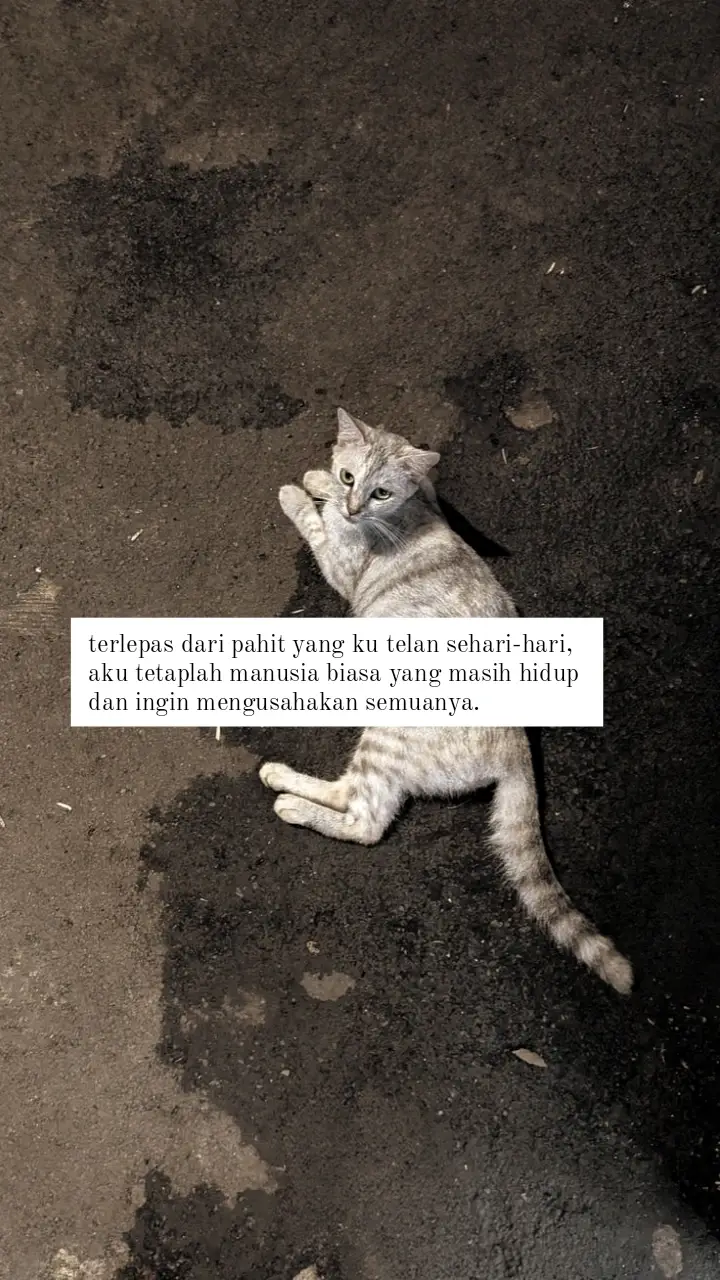 #4u #sadstory #fyp 