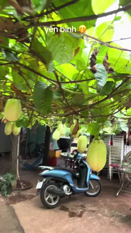 ước gì tk có 10 tỷ là đi chữa lành quài luôn 🤭#xuhuongtiktok #newtrend #tamtrang #chill 