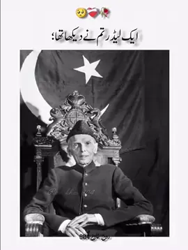 دونوں جیسا کوئ نہیں #804قیدی_نمبر #quideazam #qurbani #bestleader #pakistani  azadii 