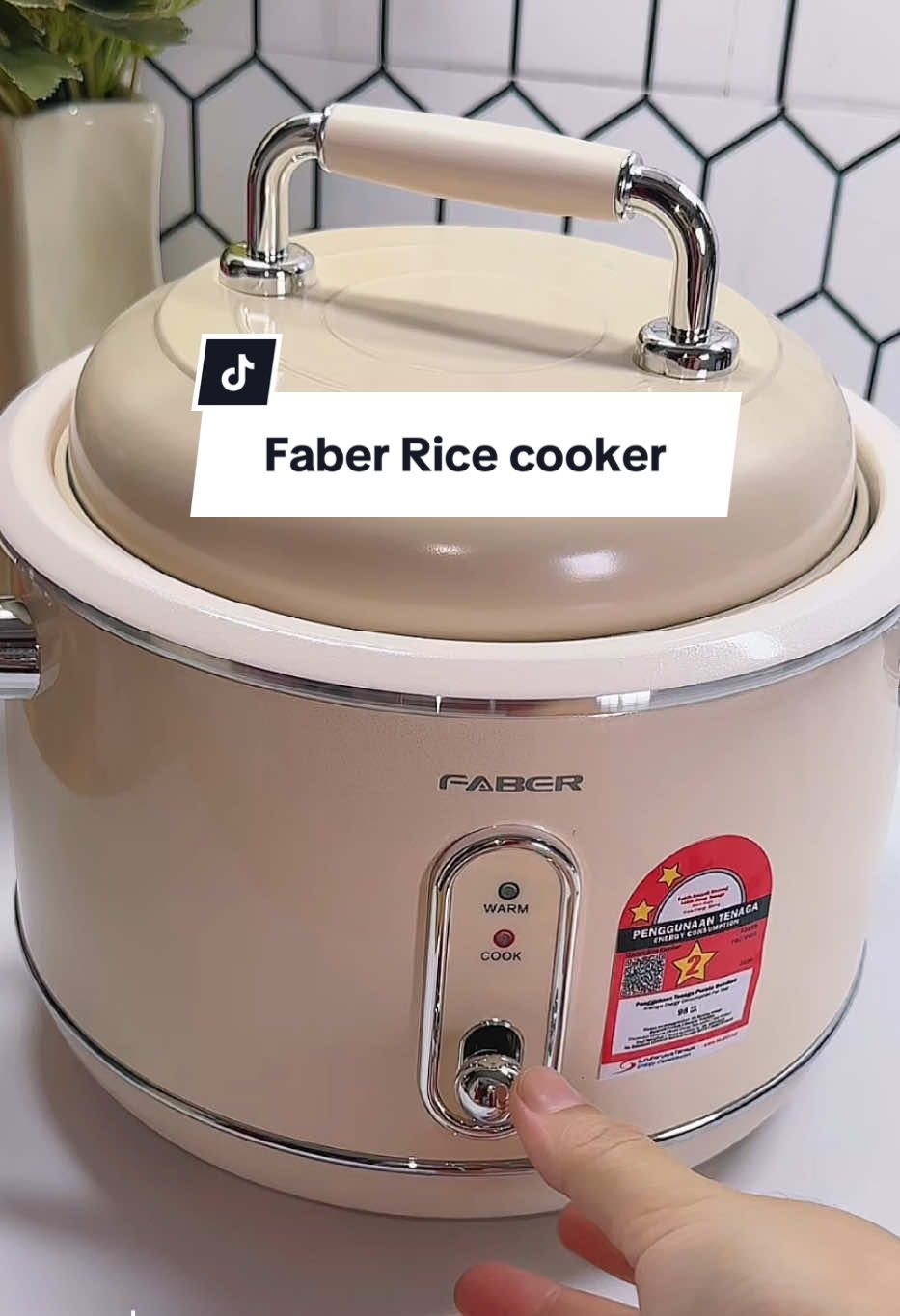 First Time jumpa design Vintage macam ni✨ #faber #faberricecooker  #miniricecooker  #aestheticricecooker  #vintagericecooker 