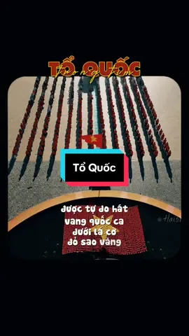 Tổ Quốc trong tim  #vụn #conghung #podcasts #lunyentertainment #hoabinhdeplam #duuyen #anhrong