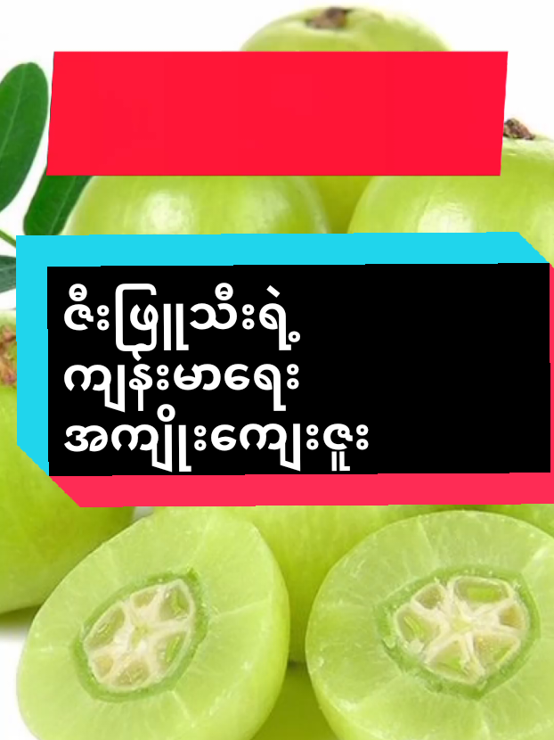 #ဇီးဖြူသီးရဲ့ကျန်းမာရေးကောင်းကျိုး #KhaingZarLwin #လင်းလက်စွယ်တော်ကိုယ်စားလှယ် #လင်းလက်သဘာဝထုတ်ကုန်အမျိုးမျိုး #အစာလည်းဆေးဆေးလည်းအစာ 