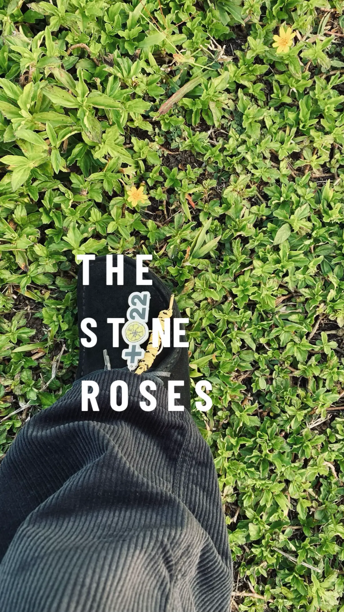 #thestoneroses🍋 #clarksoriginals 