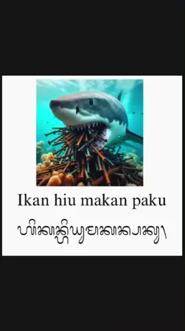 Dirgahayu indonesiaku #dirgahayuindonesia #fypシ゚viral🖤tiktok #fyppppppppppppppppppppppp 