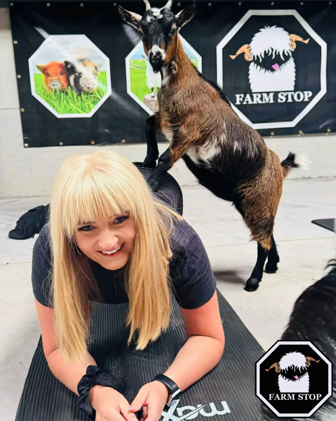 LAST 3 DATES FOR THIS YEAR… 🌟 Monday the 25th of August @6:30pm 🌟 Monday the 1st of September @ 6:30pm  🌟 Monday the 8th of September @ 6:30pm 🐐 LIMITED AVAILABILITY, BOOK NOW at: www.farmstop.co.uk 🐐  #FarmStopAberdeenshire #VisitAberdeenshire #VisitScotland #FarmTours #FarmExperience         
