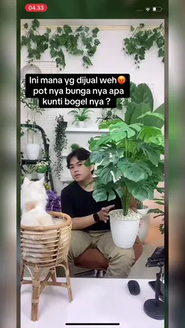 Bingung yg nonton nihh😓#catsoftiktok #cat #affilitemarketing #kucinglucu 