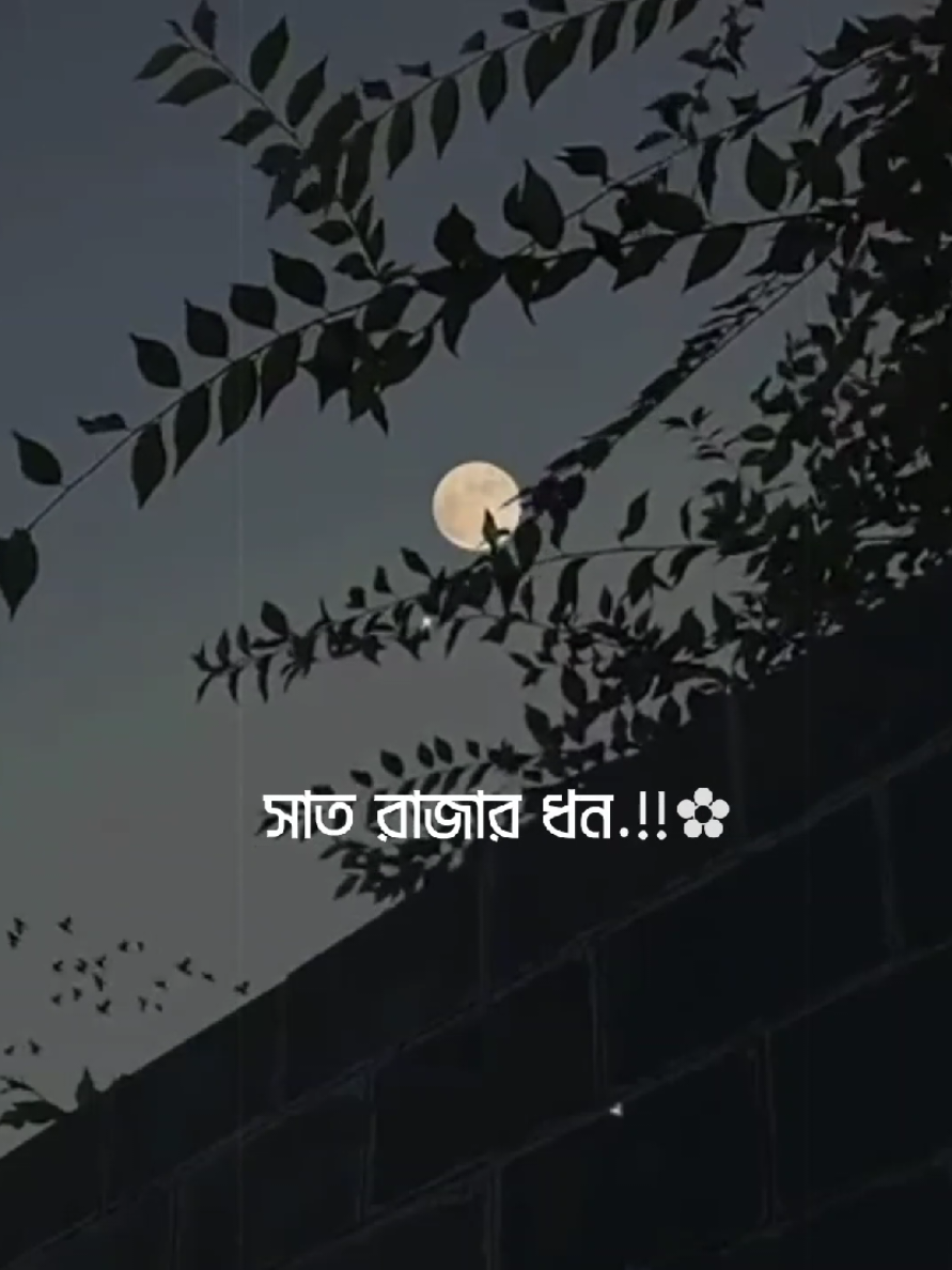 Feel Thes Song  #lyricsvideo #lyrics #fyp #lyrics_rahim_10  #tiktokbangladesh 
