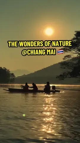 มันเป็นความจริงที่ต้องยอมรับใช่มั้ยคะ,,,ว่า“ความรัก”คือความสุขและทุกข์ มันเหมือนเงาซึ่งคอยวิ่งหนีเราเวลาเราวิ่งตาม แต่เมื่อเวลาเราต้องการจะหนีมันกลับวิ่งตามเรา 🤍#ความรัก #สตอรี่ความรู้สึก #เธรด #เชียงใหม่ #เที่ยวเชียงใหม่ #chiangmai #ต้นฉําฉากลางน้ํา #อําเภอพร้าว #ต้นจามจุรียักษ์ #อุทยานแห่งชาติศรีลานนา 