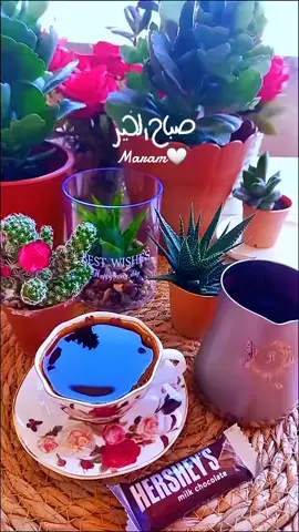 صباحكم فيروزي  #صباح_الخير #صباحكم_أحلى_صباح #فيروز #اغاني_الزمن_الجميل #your_coffee 