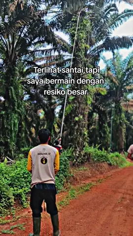 udah pernah rasa kejatuhan pelepah sawit Gak😂#petaniindonesia🇮🇩🇮🇩🇮🇩🌿🌿 #petanisawitindonesia🇮🇩 #petanimuda #anakrantau 