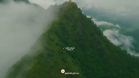 القارئ حيدر البزوني .  . وَقَالَ ارْكَبُوا فِيهَا بِسْمِ اللَّهِ مَجْرَاهَا وَمُرْسَاهَا ۚ إِنَّ رَبِّي لَغَفُورٌ رَّحِيمٌ @القارئ حيدر محسن البزوني  .  .  .   #القران_الكريم_راحه_نفسية😍🕋 #haider_ir #القرآن_نور_للقلوب_وشفاء_للصدور #قراءن_كريم 