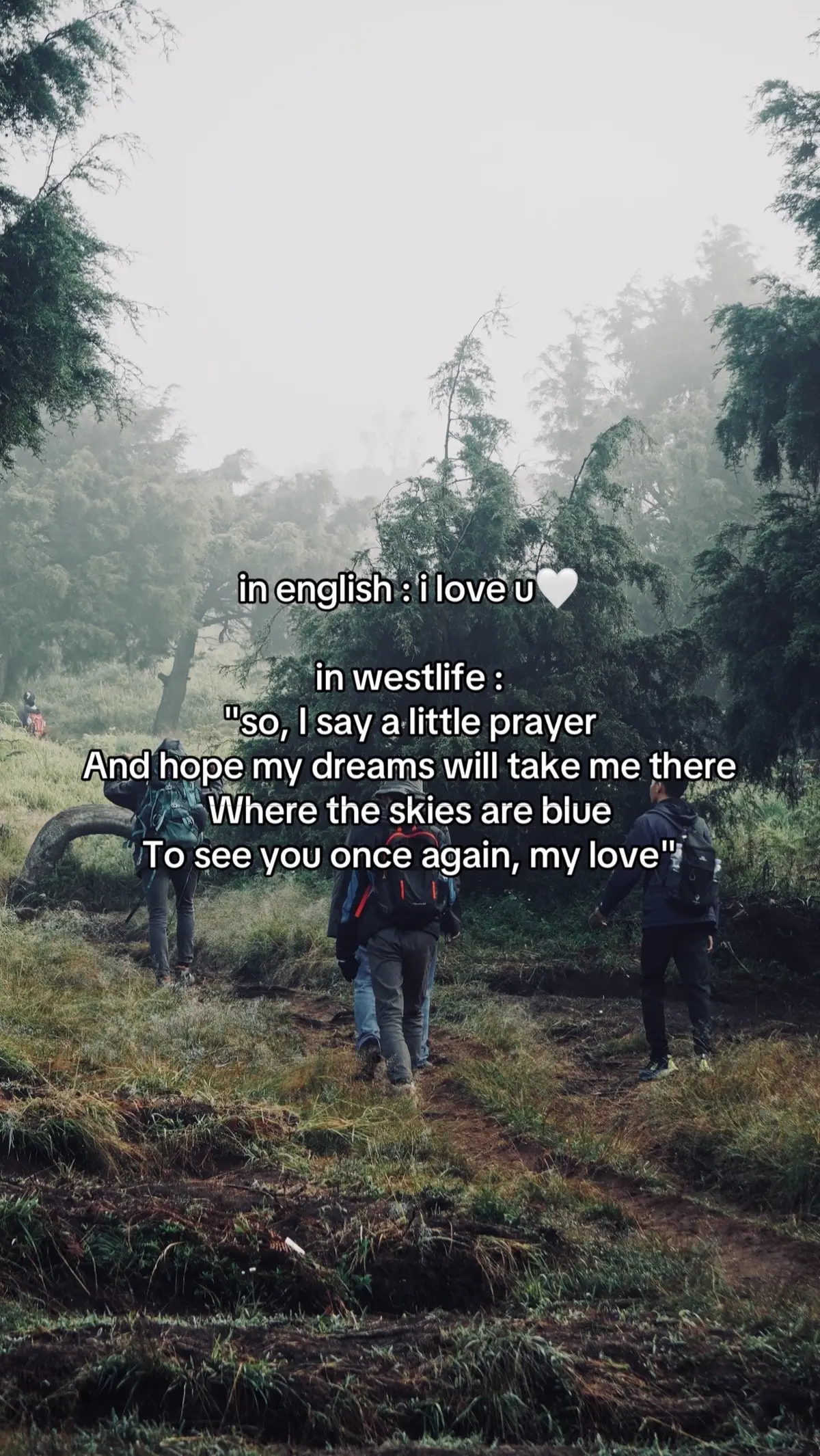 #westlife 