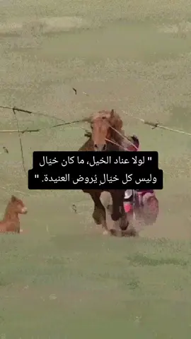 #غزة_فلسطين_🇵🇸الجزائر🇩🇿  #نبض_القلم✍️ 