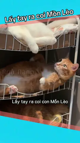Lấy tay ra coi Mồn Lèo 
