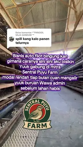 #puyu #ternak #telur #pyf #investor 