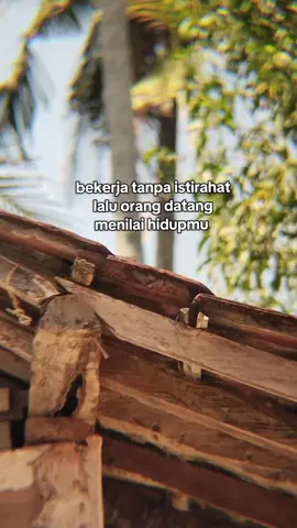 Lempar kata