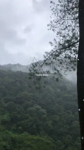 🥶 #gunungpuntang #puntangnesia 