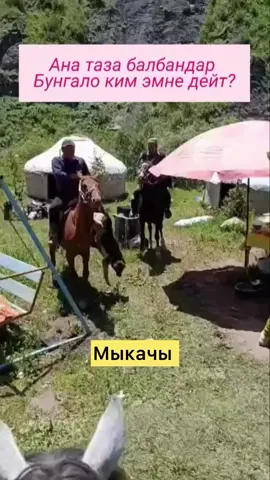 #кыргызстан🇰🇬тикток #кыргызстан🇰🇬 #бишкек🇰🇬 #чуй #ысыккол 
