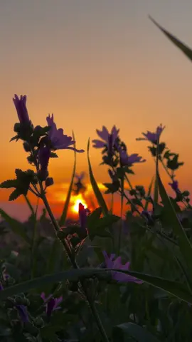Август ощущается как вечер воскресенья 🧡