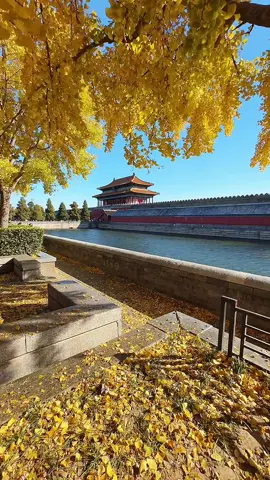 🍂 Có hẹn với Bắc Kinh vào mùa Thu này~~ 🍂 🍁 Bắc Kinh Mono 5N4Đ chỉ..từ 17 củ khoaii #t#tourtrungquocd#dulichtrungquocb#backinhx#xh