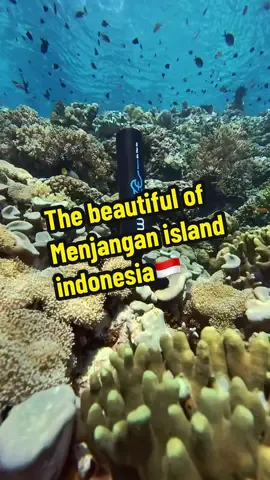 “The ocean is not silent,she just speaks in a language of motion”  📸:@Adi Putraa  @Wavee Indonesia  #waveeworldwide #waveeindonesia #waveeonthego #foryoupage #diving 