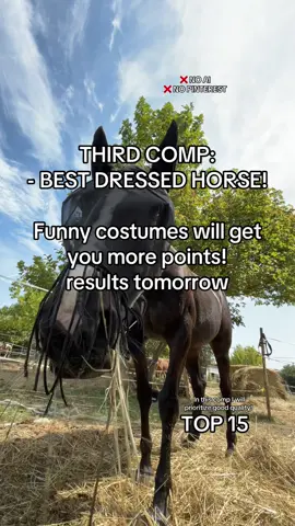 Third horse comp! !! YOU CAN SEND max TWO PHOTOS ! - BEST DRESSED HORSE, I love funny costumes so they will get more points, but elegant tack is also appreciated. Have fun! #horsecomp #horsecompetition #horse #horselovers #besthorse 