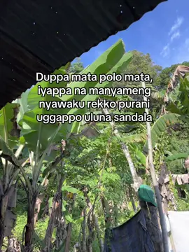 😭🤣🤣#storyanakbugis🔰 #storybugisviral #bugisstory #anakbugis #katakatabugis #bismillahfyp #fypシ゚ 