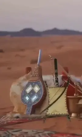 الحياه معلقه بين السعاده والنكاده