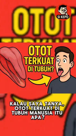 fakta unik ..  #faktaunik #faktamenarik #fyp 
