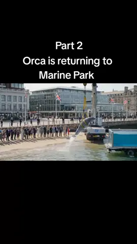 Orca is returning to marine park part 2 #orcas #orca #foryoupag #jessika #trendingg 
