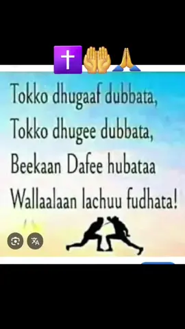#etihopian🇪🇹 #ethiopian_tik_tok🇪🇹🇪🇹🇪🇹🇪🇹 #ዮጵያ_ለዘለዓለም_ትኑር🇪🇹🇪🇹🇪🇹 @maccaa🥷 @Mitiku Emana❤💚❤ @dhufnee waliin @Abaaboo 430 nar _(🤍🌳💔) @Walaa Kaloo Family G&A❤️💚❤️ @Hanna💝 Jesus 🦋📖🕊️ @iftuu love 𝗶💝𝗢🦋 @🌍DAMMEE🫰LOVE 🌍 