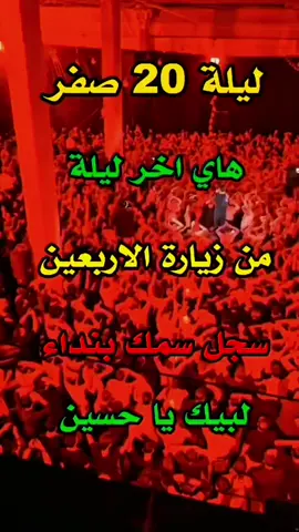 #٢٠صفر #ياحسين #يارب #كربلاء