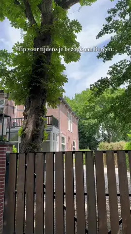 Goudkust Tip: De állerbeste manier om Bergen en omgeving te ontdekken? Op de fiets natuurlijk! 🚲 Huur je fiets bij onze lokale favoriet BonBonBike – midden in het centrum van Bergen. Van stadsfietsen tot e-bikes, ze hebben alles wat je nodig hebt voor een ontspannen tocht door duinen, bossen en langs het strand. #goudkusttip #bonbonbike #bergen #fietseninnoordholland #zomervakantie #fietsverhuur #goudkustvoordeel #bergenaanzee #duurzaamopvakantie