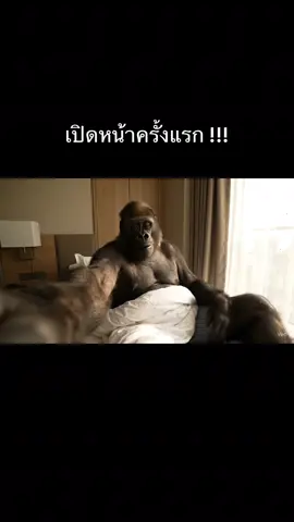เปิดหน้าคนเฮ็ด #เทรนวันนี้ #เทรนด์วันนี้tiktok #บักคอง #fyp #คนไทยเป็นคนตลก 